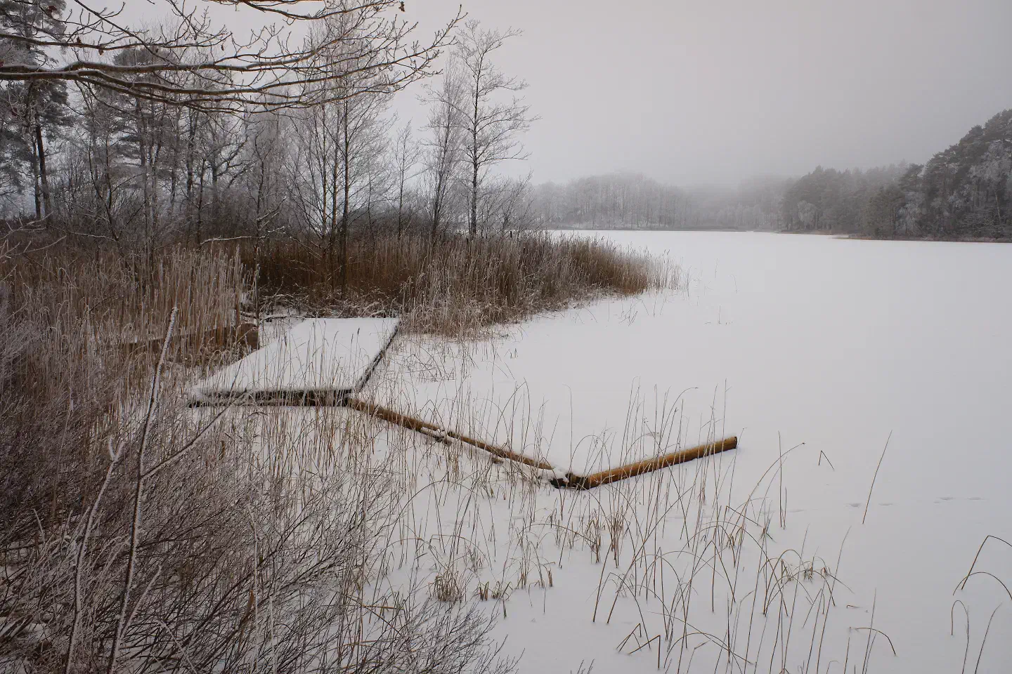 Vinter i Markaryd