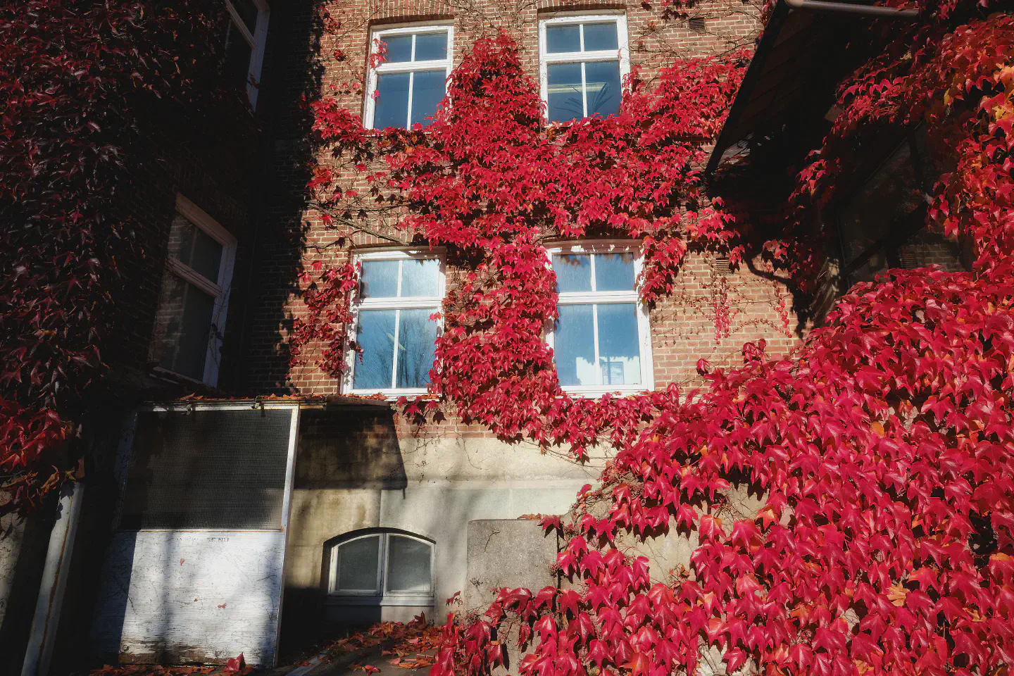 Tekniska skolan i rött