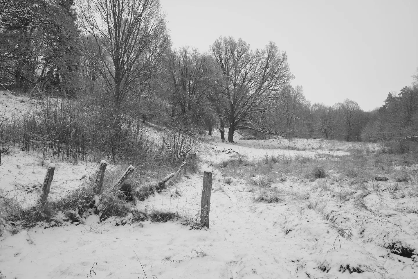 Vinter i Hässleholm