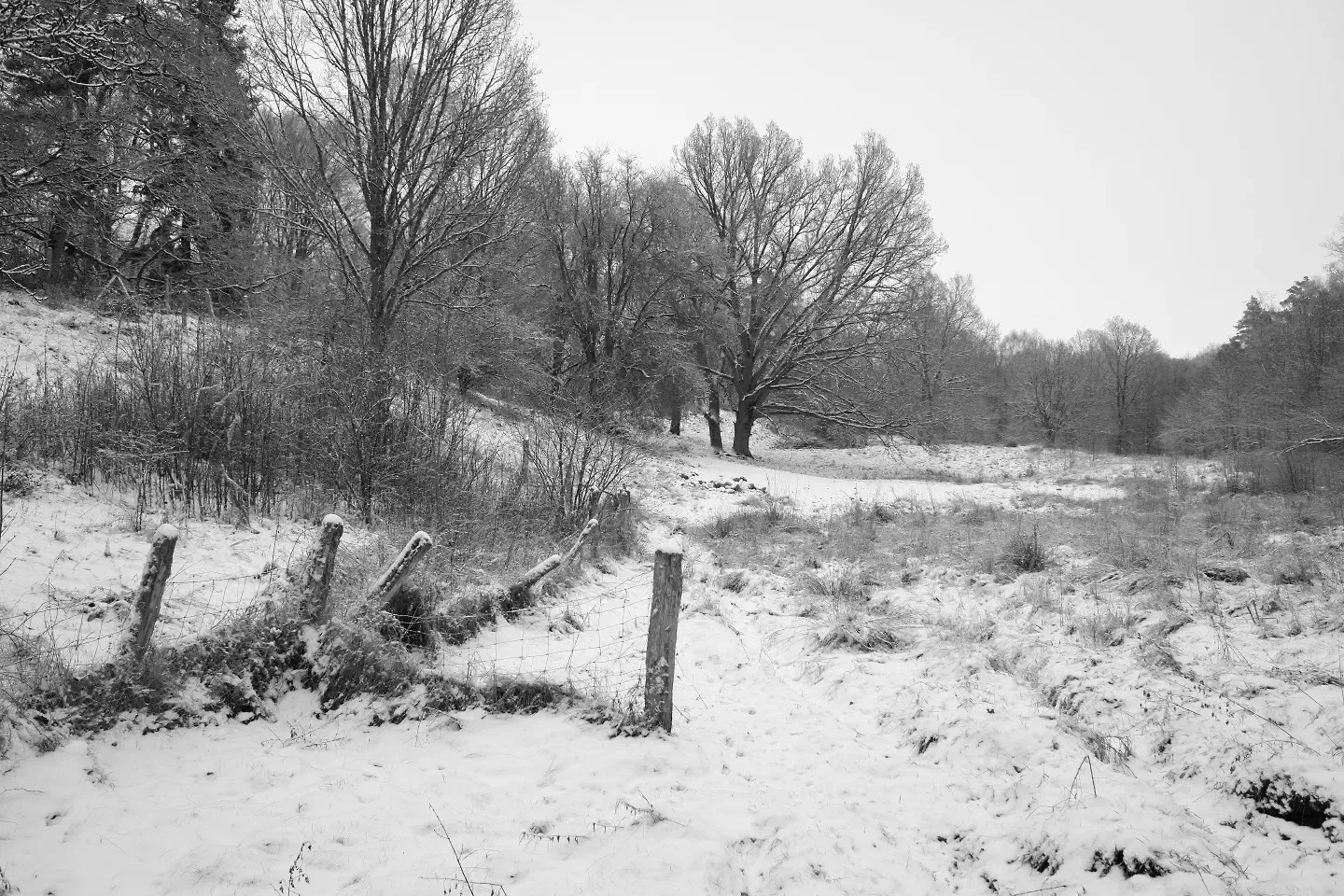 Vinter i Hässleholm